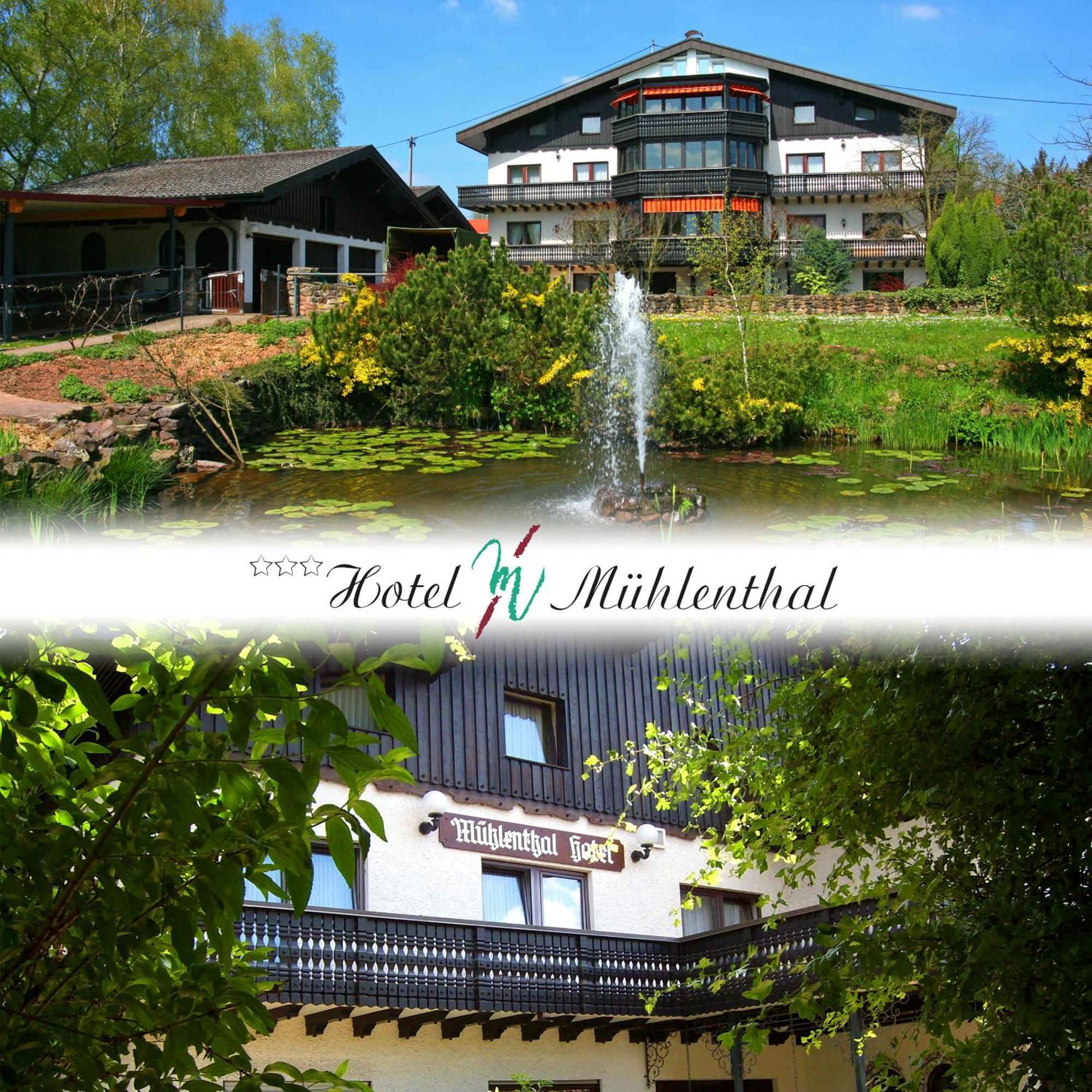 Hotel Muehlenthal Gmbh Schwalbach Extérieur photo